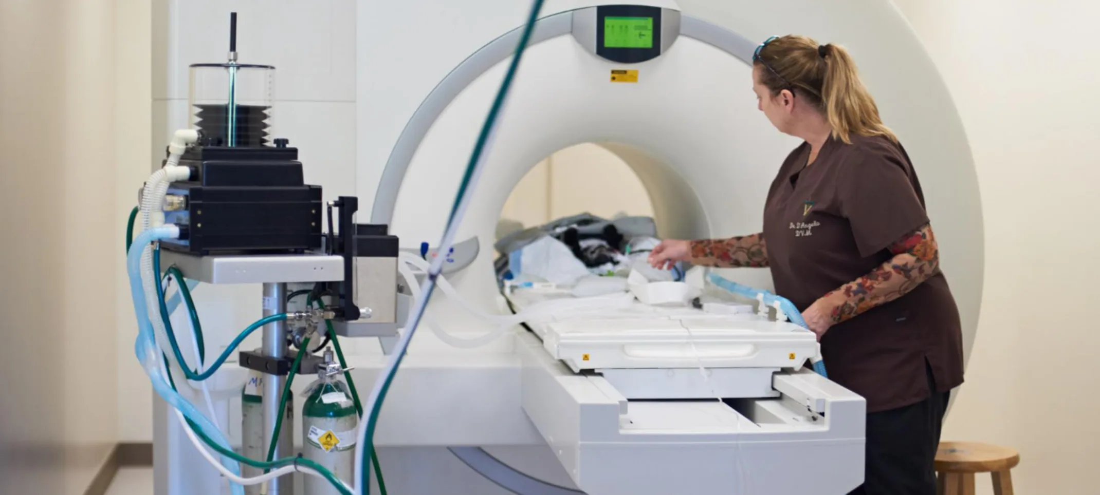 Veterinarian prepping CT machine
